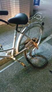 なかび