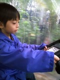 今日は・・・ 2009/11/21 17:12:08