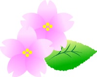合格発表… 2012/03/14 10:41:37