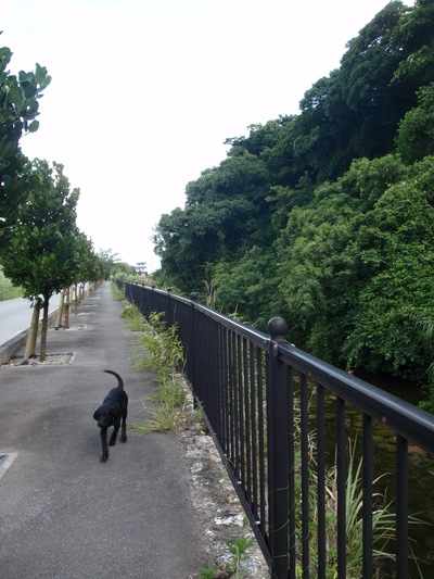 長浜川〜長浜ダム