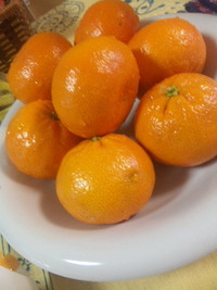 もう…そんな時期？ 2011/06/02 17:24:43