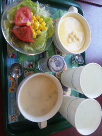モス & ホテル ♪ 2011/06/26 15:04:00