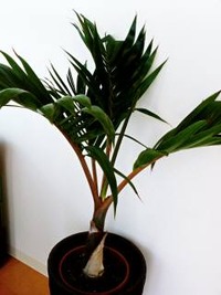 明日から!(^^)! 2012/06/07 12:59:34