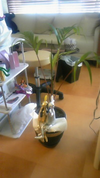 サロンの事（＾ｕ＾） 2011/03/25 11:52:14