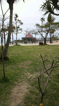 GW真っ只中＾＾ 2011/05/02 19:13:33