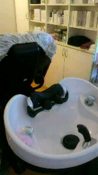 ぽかぽか陽気。。。 2011/04/12 10:36:59