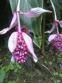 お休みですm(__)m 2011/06/10 19:01:08