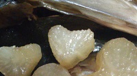 お料理苦手なので・・・