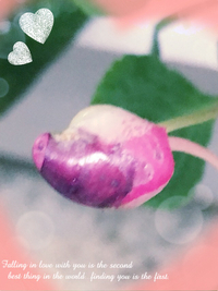 今日も、 2016/01/27 07:32:55