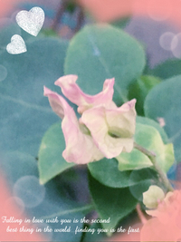 寒いですね〜