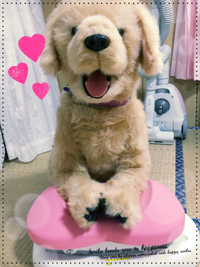 笑わせてくれます。