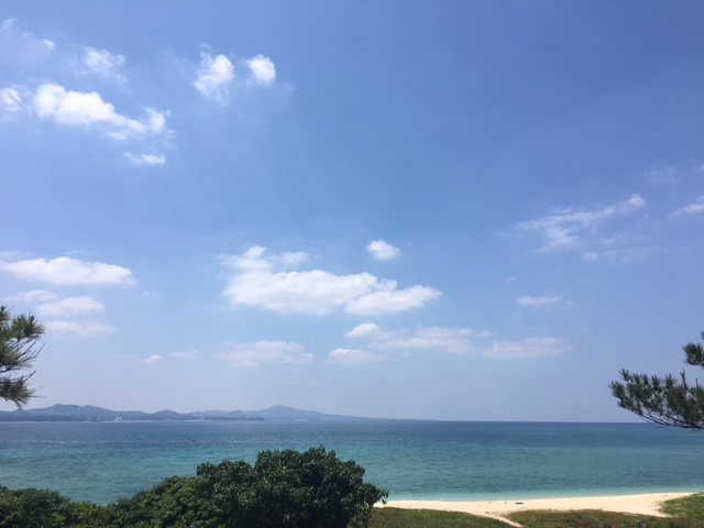 まんまる市ありがとうございました。