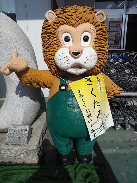 ホームセンターさくもと お父さんライオンの名前が決定 さくたろう 沖縄 Uchina Trend