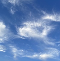 毎週(月)&(火)はあいにくと休業日です 2024/10/21 10:39:57