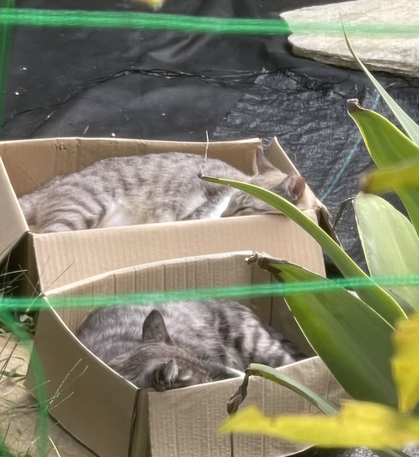 毎週(月)&(火)は休業日です。