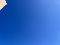 ノヴェッロについて 2023/10/30 11:40:00