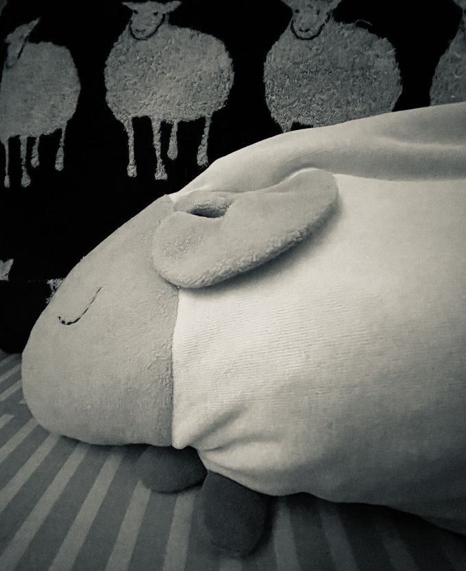 毎週（月）＆（火）は休業日です