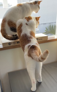 毎週(月)＆(火)は定休日のため休業です。【6／5(水)は臨時休業のお知らせ】 2024/05/28 11:39:16
