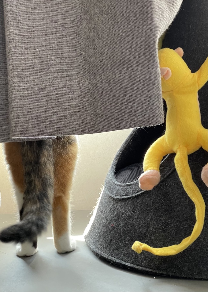 毎週（月）＆（火）は休業日です