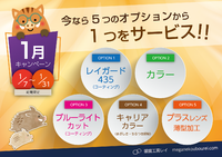 眼鏡工房レイ　1月のキャンペーン 2019/01/11 12:23:14