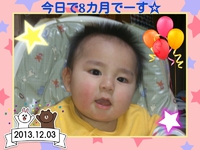 8カ月～☆ 2013/12/04 21:53:23