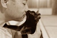 記録* ジミーと猫の あんこ物語