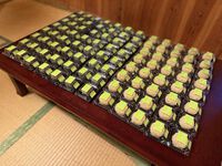 あたらしい せかい