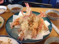 フルコース 2013/04/07 18:23:16