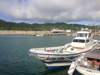 夏、到来？ 2013/06/14 08:12:20