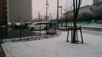 ゆゆゆ雪だーっ！！