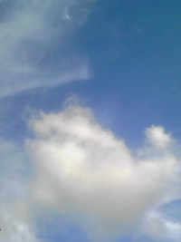 7月30日の記事 2010/07/30 18:25:54