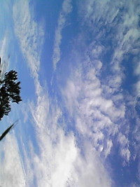 久しぶり。 2010/09/06 17:34:37