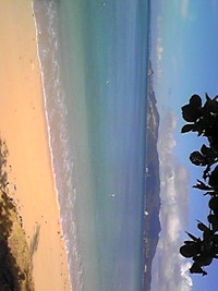 癒されてます 2010/10/24 11:18:19