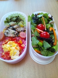 お弁当 2011/08/19 22:20:35