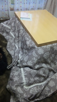 こたつ 2012/02/11 12:21:39