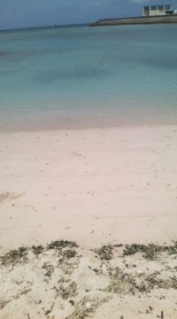 台風９号接近～((((；ﾟДﾟ)))) 2011/08/03 17:51:19