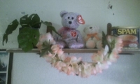 明日はどうかな～？(・◇・) 2011/08/04 18:06:51