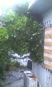 今日は２１：００まで・・・＼(*⌒0⌒)♪ 2011/08/06 15:03:29