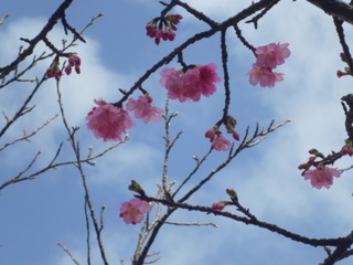 おはようございます。mana*です