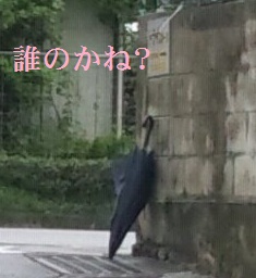 今朝・・・