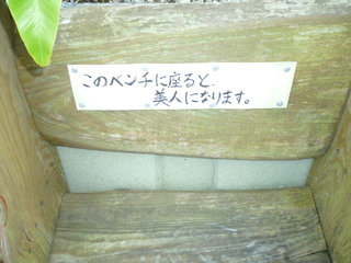 ひまわり畑