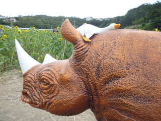 ひまわり畑