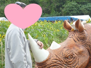ひまわり畑