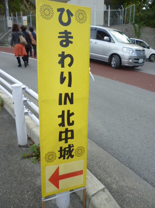ひまわり畑