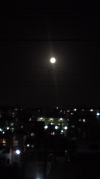 タイミング 2010/10/17 21:02:53