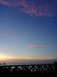 朝ジム 2009/07/30 08:32:52