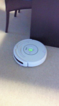 名前ルンバだっけか？ 2009/08/13 18:20:31