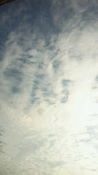 久しぶり( ´∀｀) 2010/02/08 09:51:43