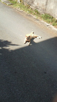 夢のお休み 2010/03/08 22:21:44