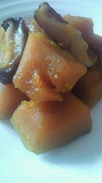 pumpkin 2010/03/15 12:26:08